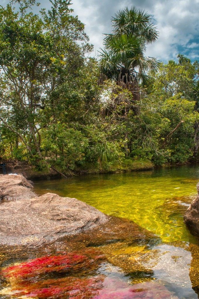 Caño Cristales